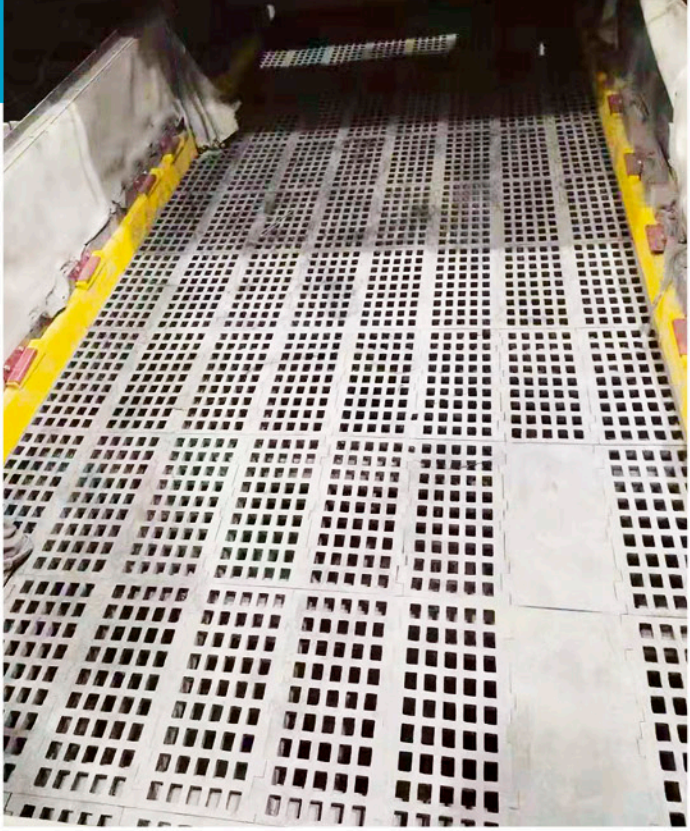 555555555555555555555555.jpg 555555555555555555555555.jpg